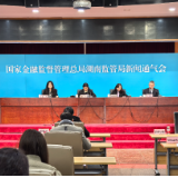 同比增长233%！2024年湖南新能源汽车消费贷款余额大增
