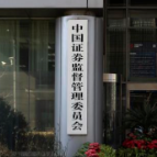 中国证监会发布年度十大投资者保护典型案例