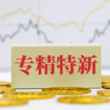 多地“专精特新”专板接连开板　助力创新科技企业扬帆