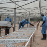 深海“鲜”邂逅湖南“劲” 劲仔深海鳀鱼香飘中非经贸博览会