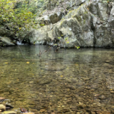 环境权益交易|麻阳苗族自治县浀水生态清洁小流域西皮溪区块水土保持生态产品经营权转让(二十年)