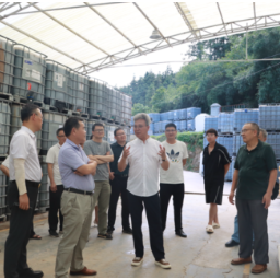 湖南省循农协赴会同县调研 助力打造绿色种养结合标杆示范项目