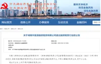  湖南又一家融资租赁公司主动退出
