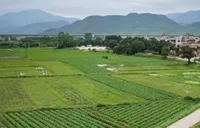 2025年岳阳农业保险为47.87万农户提供233.53亿元风险保障