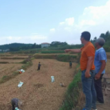 赋能企业，共赢发展  “湘信贷”平台融资服务纪实