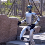 具身智能：从场景落地到产业崛起