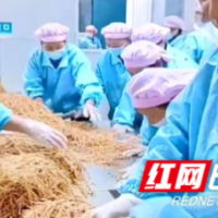 胡永红：“唤醒”沉睡的竹林
