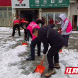 南县麻河口镇：铲雪除冰暖民心 应急防范促平安