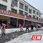 南县中鱼口镇：“以雪为令”迅速行动 开展“清冰除雪”志愿行动