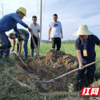 资阳区张家塞乡：防汛前线的“技术侦察班”