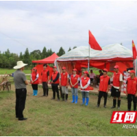 赫山区八字哨镇：堤坝上涌动一抹学生“志愿红”