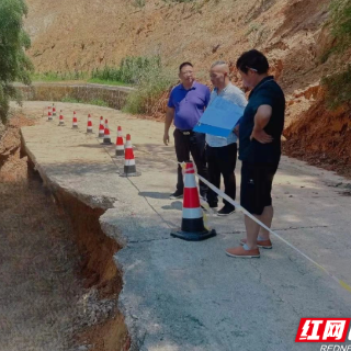 益阳高新区迅速启动雨后地灾防治指导工作