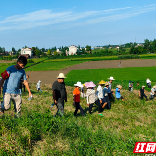 南县中鱼口镇：人大代表防汛一线显担当