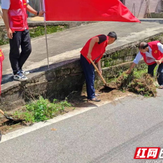 赫山区衡龙桥镇：开启汛后修复“加速”模式