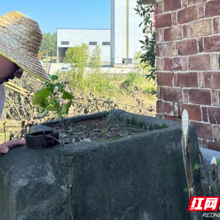 闪动在大通湖区防汛一线的青春追光者