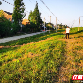 沅江：水退人不退，父子的防汛誓言