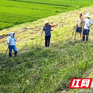 南县武圣宫镇美隆村党总支书记在一线展现硬核担当