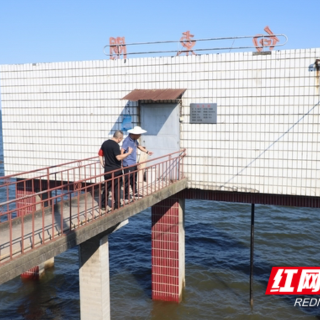 大通湖区："猫腰“前行 只为穿堤建筑物的安全