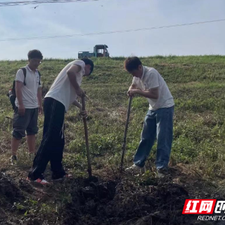 南县三仙湖镇：青春堤坝，大学生“三下乡”奋战在抗洪抢险一线