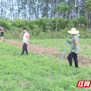 八一建军节丨以另一种“军姿”坚守在防洪大堤上