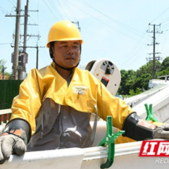 益阳：迎峰度夏直面“烤” 不停电作业力保供电无忧