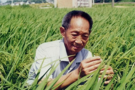 湖湘科学家故事丨一粒种子，生生不息 一种精神，代代相传