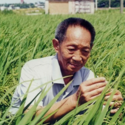 湖湘科学家故事丨一粒种子，生生不息 一种精神，代代相传