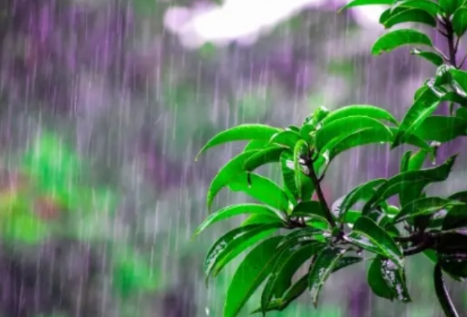 今晚至15日白天湖南局地有暴雨