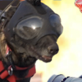 119全国消防日丨联播一瞬带你看消防员和他的硬核小伙伴们