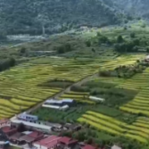 新时代中国调研行之看区域·西部篇丨“高原孤岛”变迁记