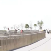 长三角生态绿色一体化示范区 | 多角度透视五周年“成绩单”