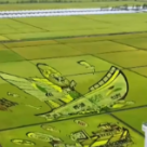 荒原变粮仓 “数”说北大荒新型农业现代化道路