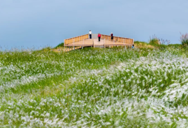 胡亮：青春渌口待花开