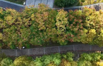 永州：金叶描画卷，碧水竞舟楫