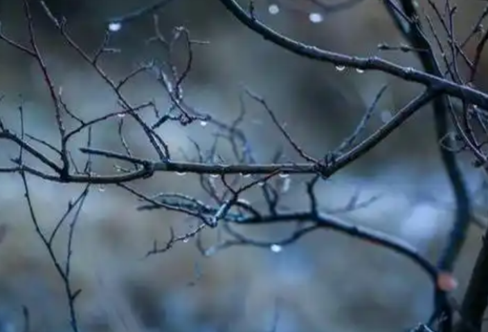 湖南多地持续阴雨，15日开始天气转好