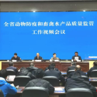 湖南省动物防疫暨畜禽水产品质量安全监管工作视频会议在长沙召开