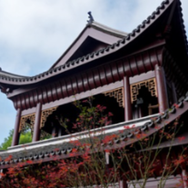 让文物“活”起来！ 首届“走读湖湘”文物文化研学项目年度成果发布 2025年百城千校联动，覆盖百万学生