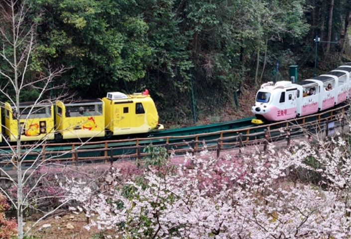 十里画廊赏春光