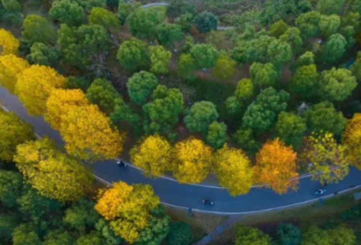 到2035年，长沙公园绿地、广场步行5分钟覆盖率将在90%以上！