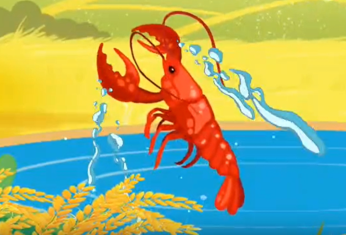 南县种虾记丨拜师学艺得真传