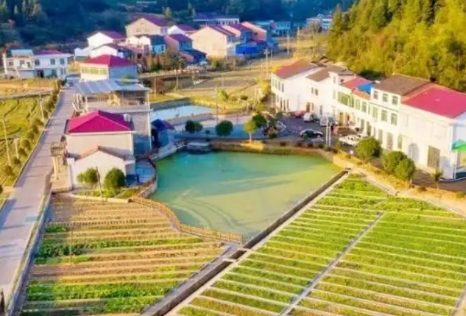 浏阳大瑶镇：万象“耕”新正当时 辛勤播种绘“丰”景