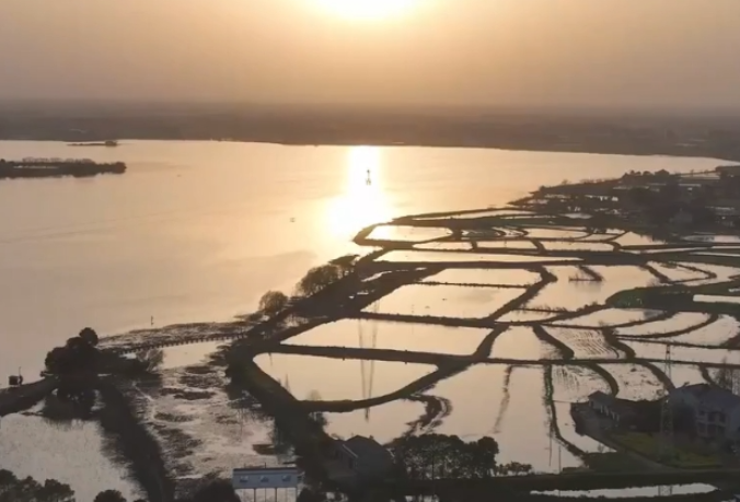 寻味江湖｜华容团子 稻浪千年