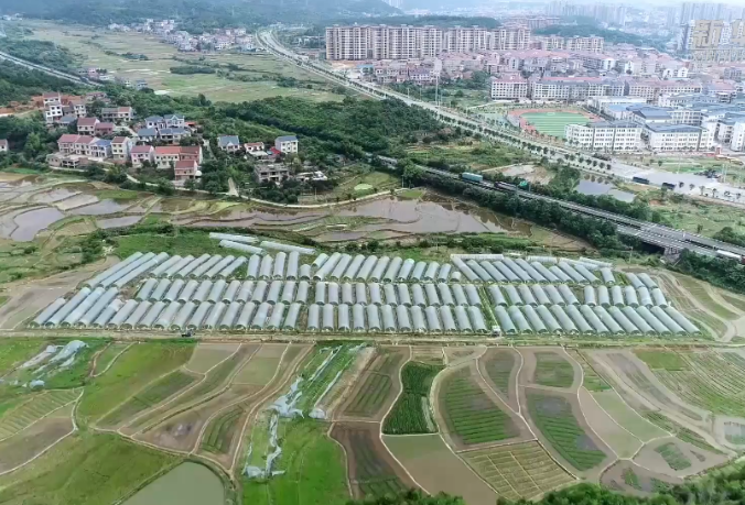 湖南茶陵：梨瓜甜蜜上市