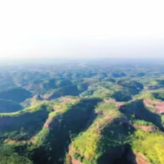 7月10日，湖南省发布地灾黄色预警，株洲和郴州注意防范