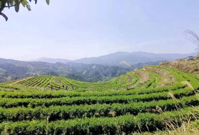 湖湘地理｜怀化地坪村：三省坡东北麓的侗族传统村落