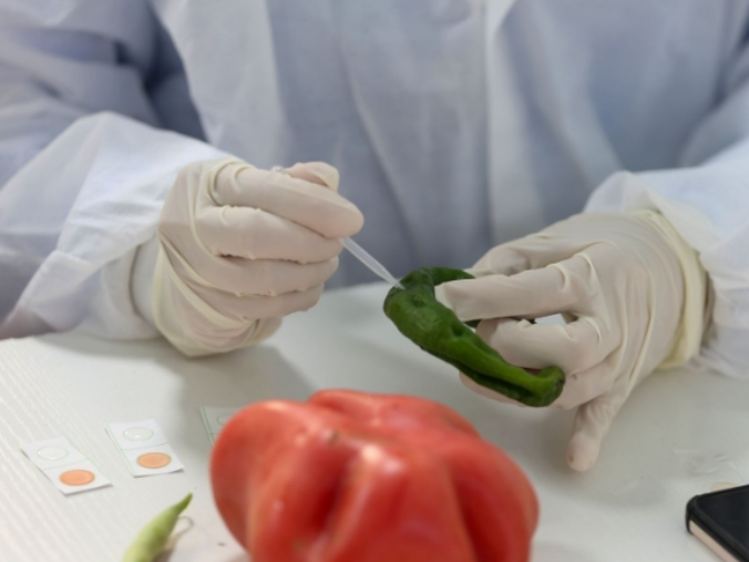 湖南发布上半年食品安全抽检监测数据：合格率整体超97%