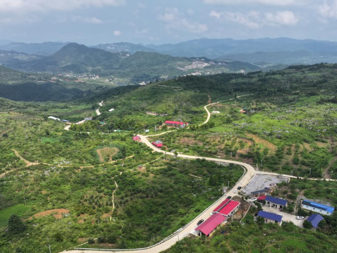 湖南新化：西瓜成熟 瓜香四溢迎丰收