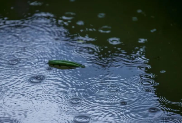 湖南气象发布：阵雨！降温！最低24℃