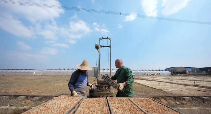 三湘大地备春耕