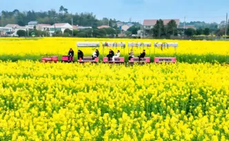 省植物园预约已满！长沙还有这些地方可以赏花